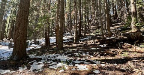 84 Yonkalla Trail, Graeagle, CA 96103 Photo