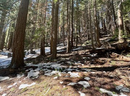 84 Yonkalla Trail, Graeagle, CA 96103 Photo