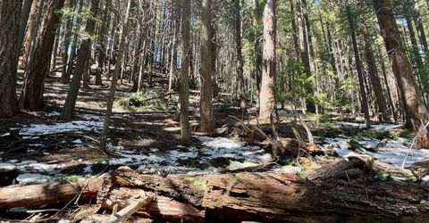 84 Yonkalla Trail, Graeagle, CA 96103 Photo