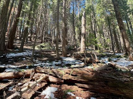 84 Yonkalla Trail, Graeagle, CA 96103 Photo