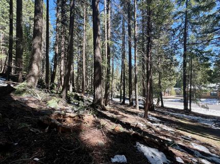 84 Yonkalla Trail, Graeagle, CA 96103 Photo