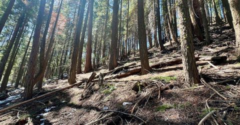 84 Yonkalla Trail, Graeagle, CA 96103 Photo