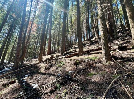 84 Yonkalla Trail, Graeagle, CA 96103 Photo