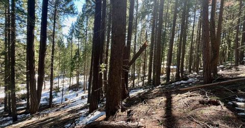 84 Yonkalla Trail, Graeagle, CA 96103 Photo