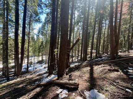 84 Yonkalla Trail, Graeagle, CA 96103 Photo