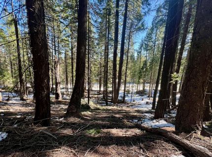 84 Yonkalla Trail, Graeagle, CA 96103 Photo