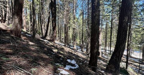 84 Yonkalla Trail, Graeagle, CA 96103 Photo