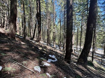 84 Yonkalla Trail, Graeagle, CA 96103 Photo