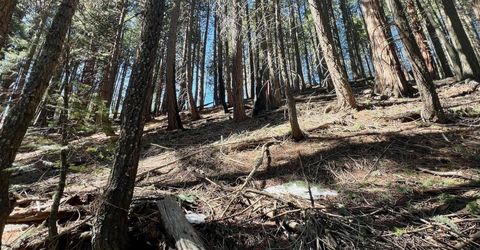 84 Yonkalla Trail, Graeagle, CA 96103 Photo