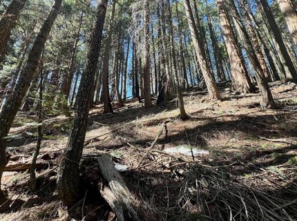 84 Yonkalla Trail, Graeagle, CA 96103 Photo