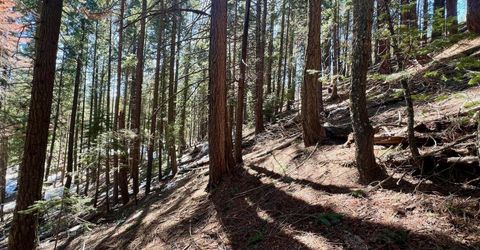 84 Yonkalla Trail, Graeagle, CA 96103 Photo