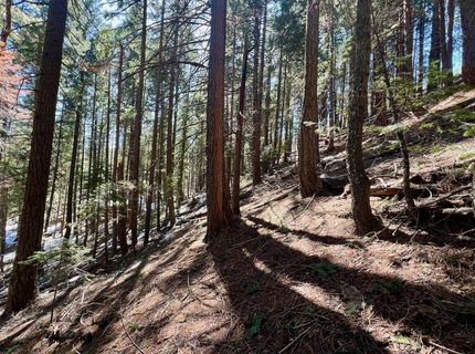 84 Yonkalla Trail, Graeagle, CA 96103 Photo