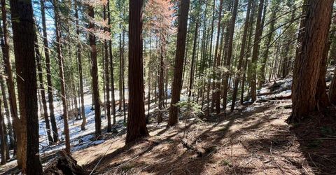 84 Yonkalla Trail, Graeagle, CA 96103 Photo