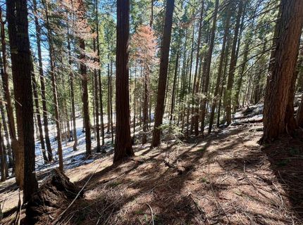 84 Yonkalla Trail, Graeagle, CA 96103 Photo