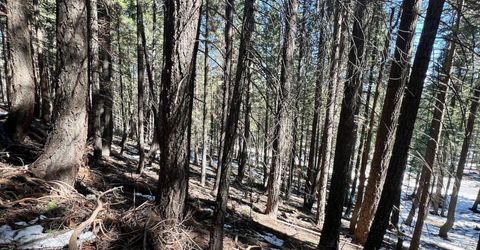 84 Yonkalla Trail, Graeagle, CA 96103 Photo