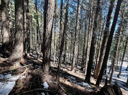 84 Yonkalla Trail, Graeagle, CA 96103 Photo