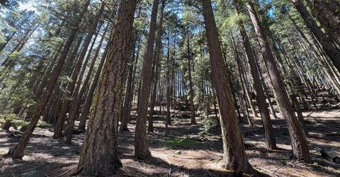 84 Yonkalla Trail, Graeagle, CA 96103 Photo