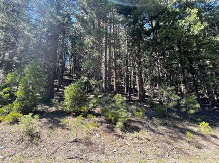 84 Yonkalla Trail, Graeagle, CA 96103 Photo