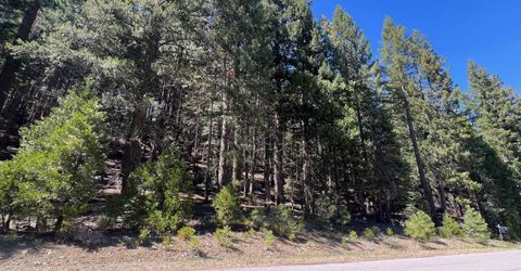 84 Yonkalla Trail, Graeagle, CA 96103 Photo