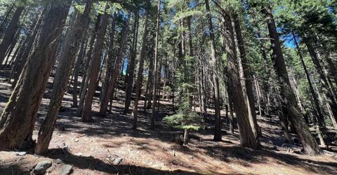 84 Yonkalla Trail, Graeagle, CA 96103 Photo