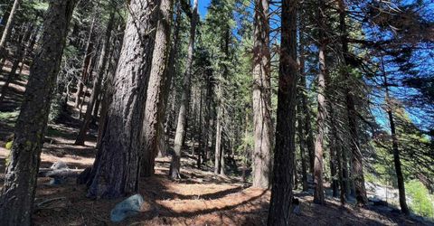 84 Yonkalla Trail, Graeagle, CA 96103 Photo