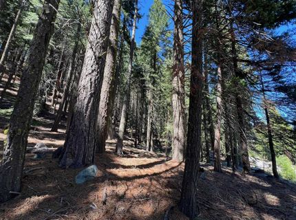 84 Yonkalla Trail, Graeagle, CA 96103 Photo