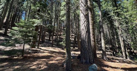 84 Yonkalla Trail, Graeagle, CA 96103 Photo