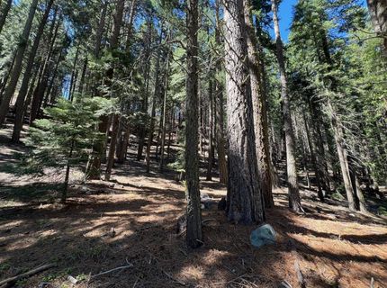 84 Yonkalla Trail, Graeagle, CA 96103 Photo