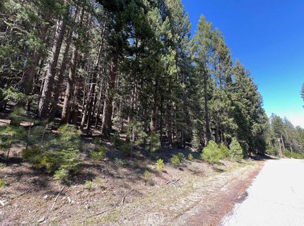 84 Yonkalla Trail, Graeagle, CA 96103 Photo