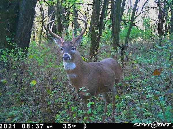 15th St, Blakesburg, IA 52536