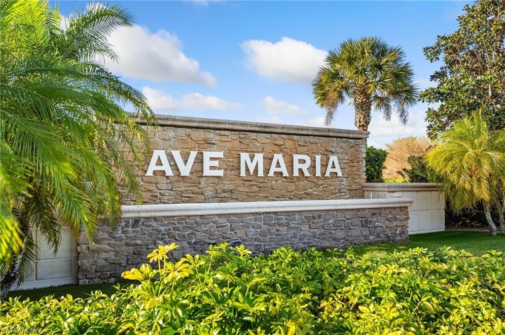 5053 Arancia Ln, Ave Maria, FL 34142 Photo