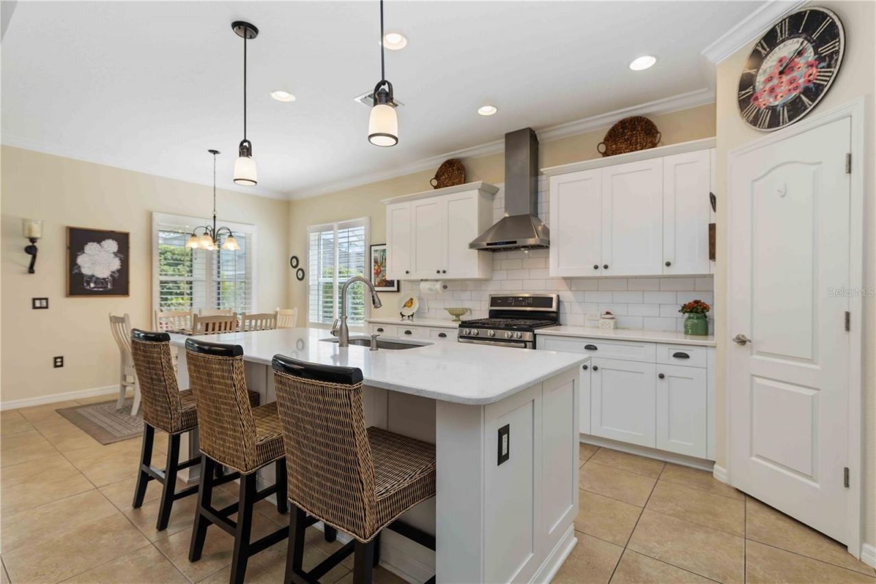 10933 Blue Magnolia Lane, Parrish, FL 34219 Photo