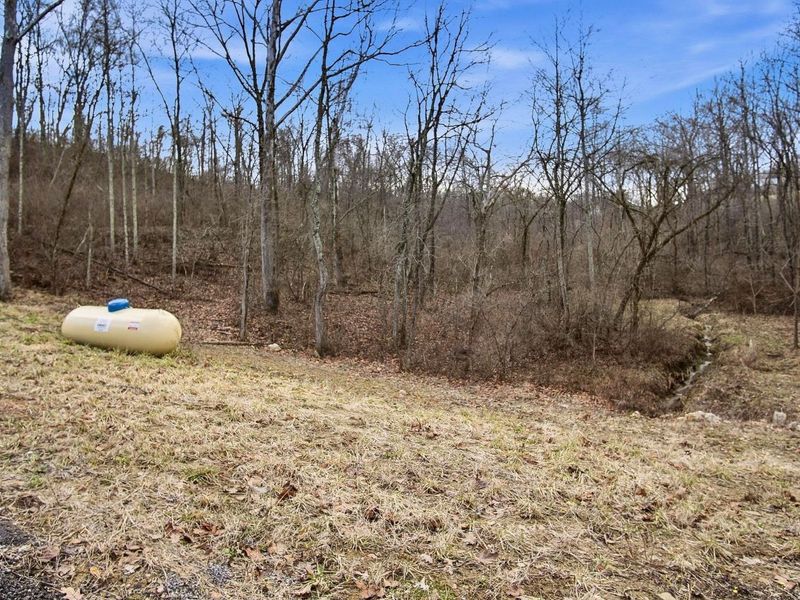 8660 Rural Dale Road , Blue Rock, OH 43720 Photo 46