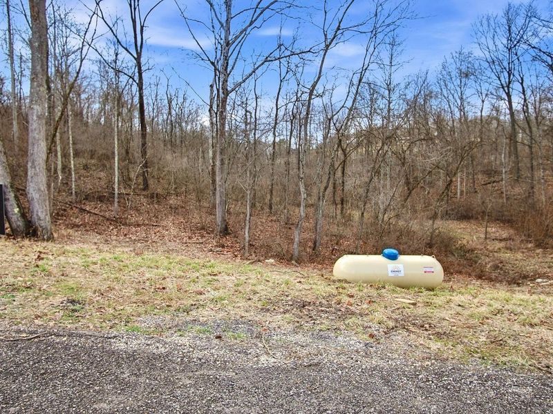 8660 Rural Dale Road , Blue Rock, OH 43720 Photo 50