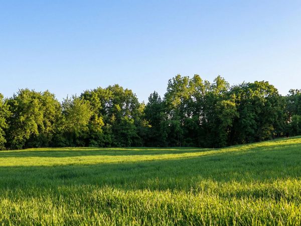 1154 Luptonville Crossing, Chattanooga, TN 37415