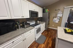 1335 Pinyon Pine Drive photo 4