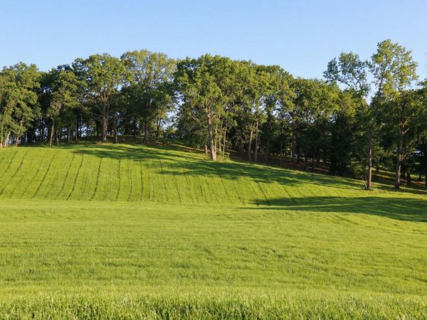 1138 Luptonville Crossing, Chattanooga, TN 37415