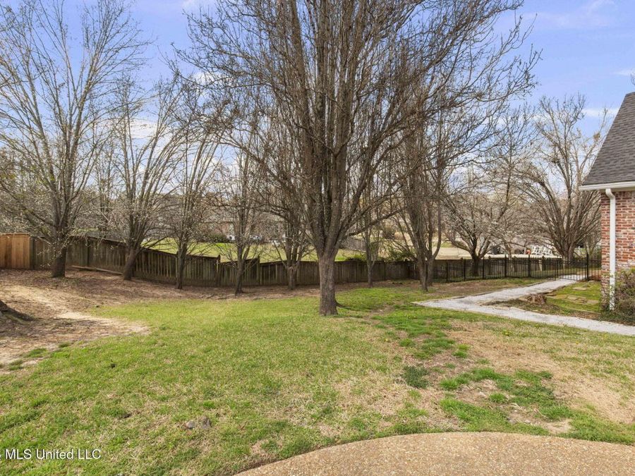 Property Image 61