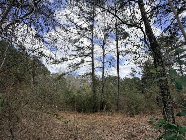 Tbd Joel Lang Road, McComb, MS 39648