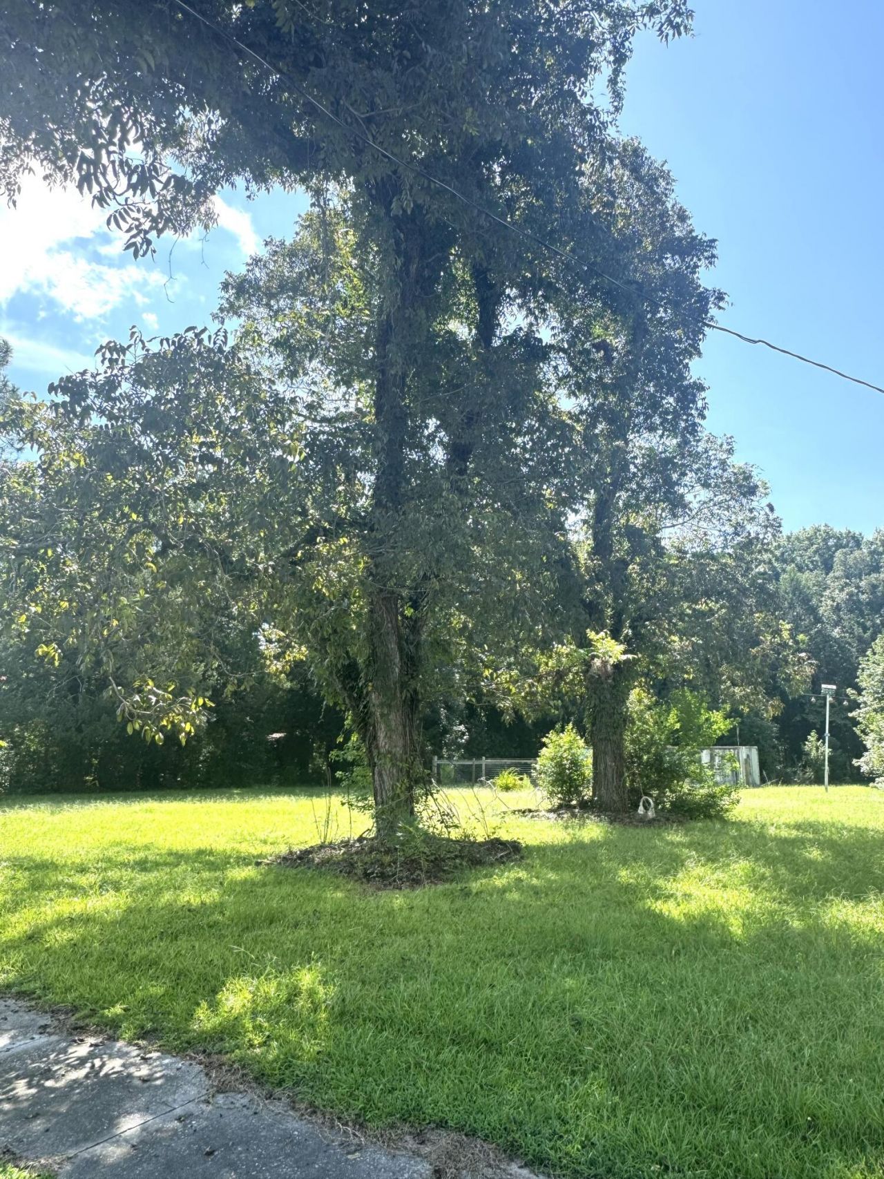 8347 Lodge Highway Photo 10