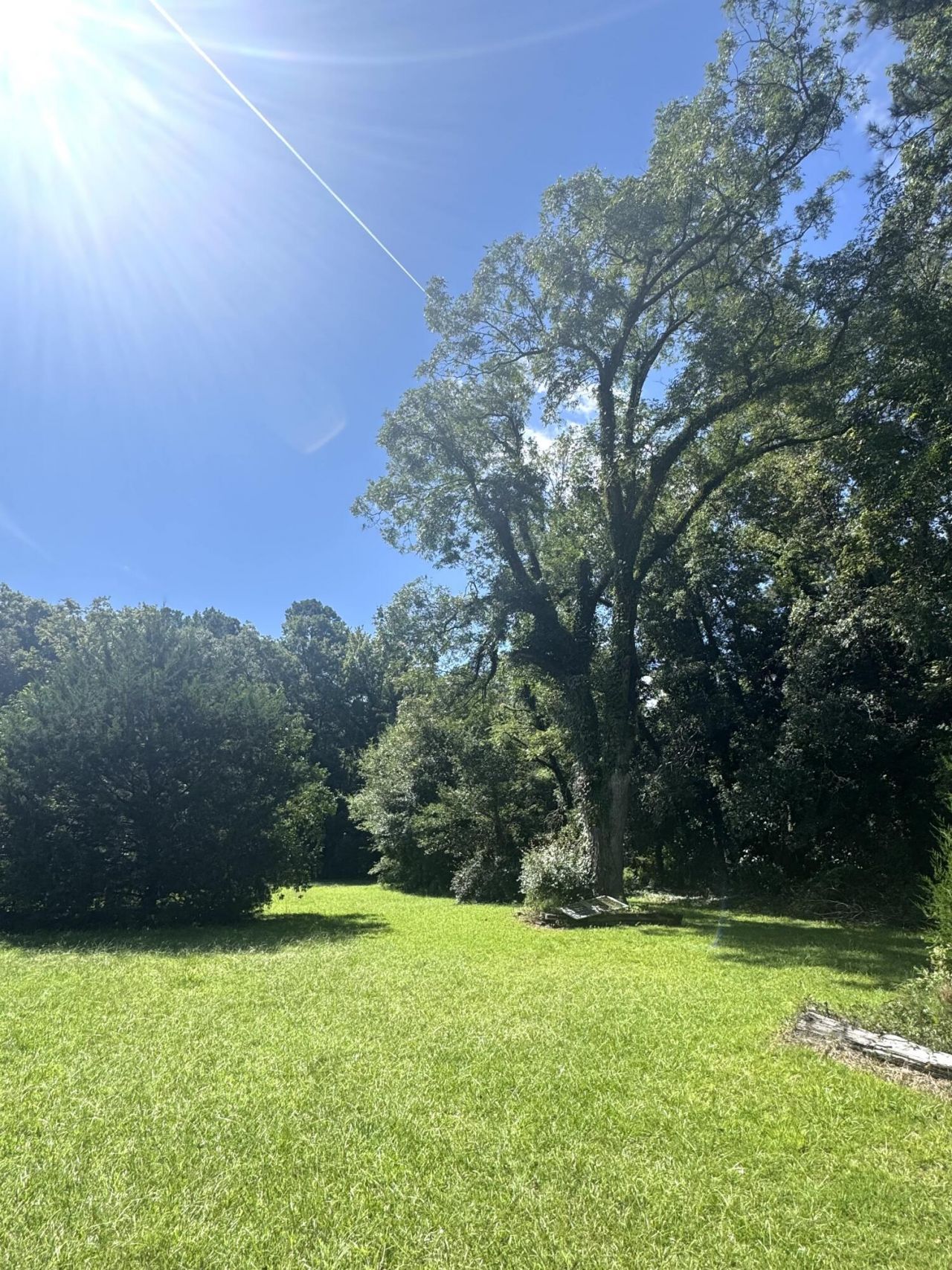 8347 Lodge Highway Photo 8