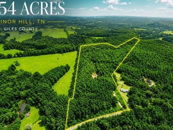 0 TBD Davis Hollow Road, Minor Hill, TN 38473