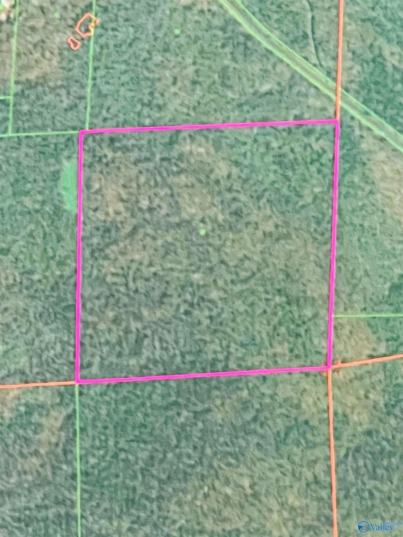 40 Acres Cherry Tree Road, Gurley, AL 35748 Main Photo