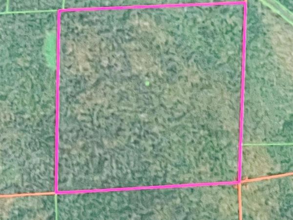 40 Acres Cherry Tree Road, Gurley, AL 35748