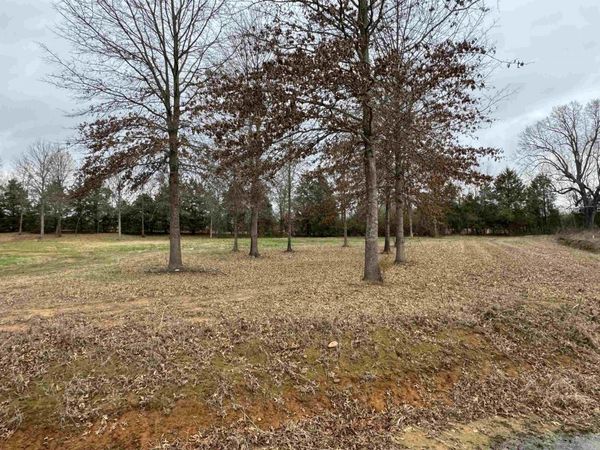 27R River Birch Drive , Guy, AR 72061