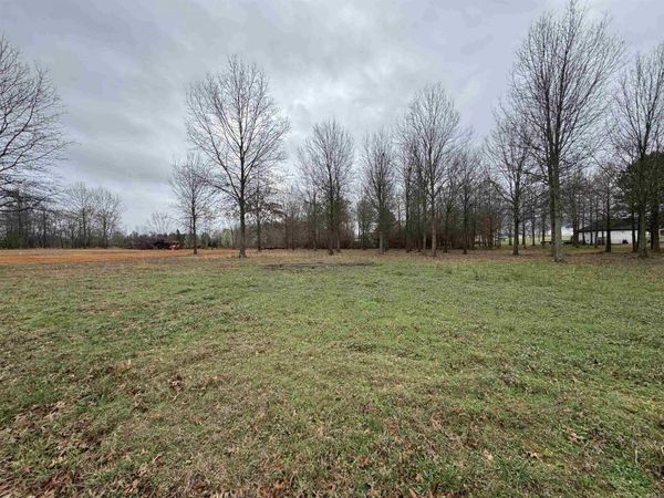 32R River Birch Drive , Guy, AR 72061