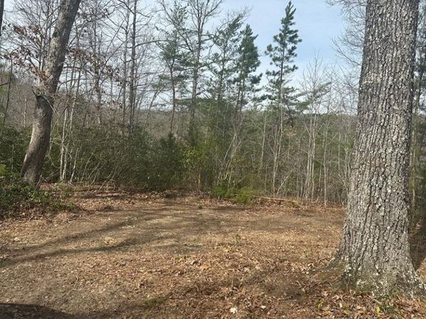 Lot 432 Valley View Circle Lot 432, Wilder, TN 38589