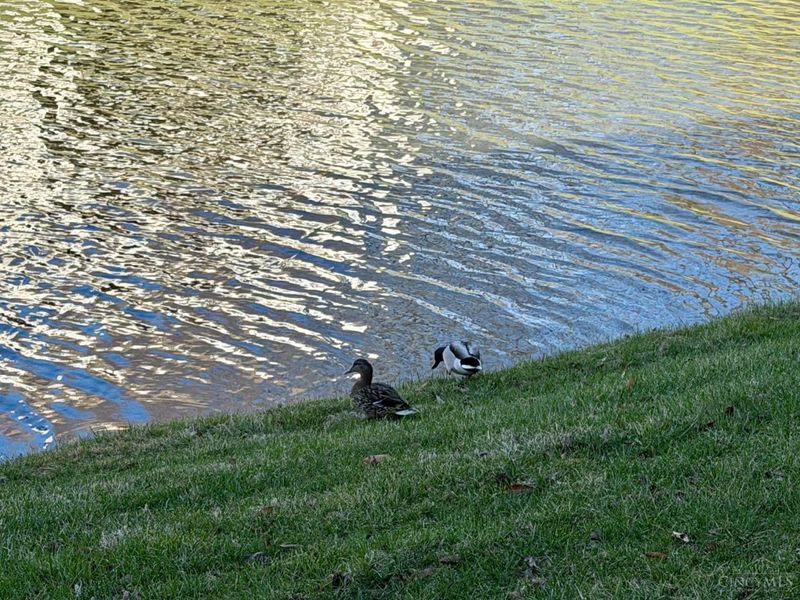 9917 Shorewood Lane, Unit 5-B, Sharonville, OH 45241 Photo 41