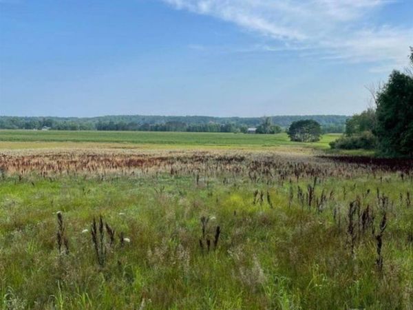 10 Acres +/- 3 Mile Road, Reed City, MI 49677