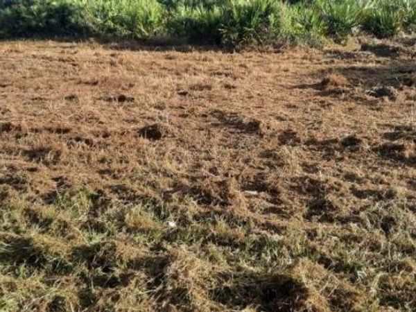 5202 25th ST SW, LEHIGH ACRES, FL 33973